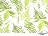 画像: FERN CHINTZ WITH CLEAR  (Ａ４)