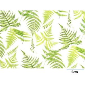 画像: FERN CHINTZ WITH CLEAR  (Ａ４)