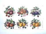 画像: FRUITS WITHOUT BACKGROUND