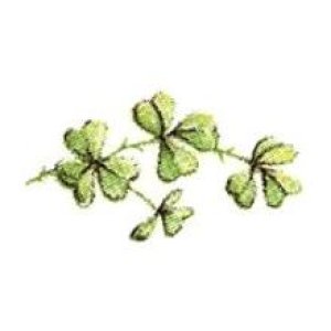 画像: SHAMROCK