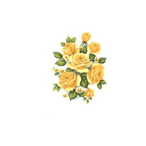 画像: YELLOW ROSES