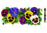 画像: PANSY MUGWRAP