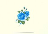 画像: BLUE ROSES