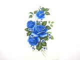 画像: BLUE ROSES