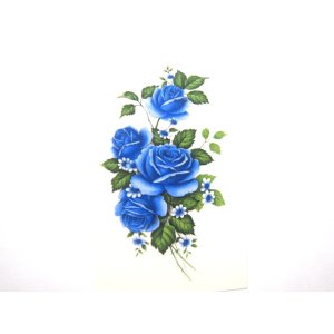 画像: BLUE ROSES