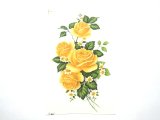 画像: YELLOW ROSES