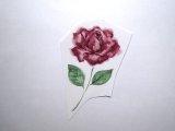 画像: PINK ROSE