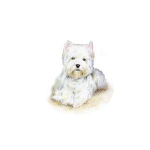 画像: WESTIE