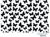 画像: BUTTERFLIES CHINTZ BLACK  (Ａ４)