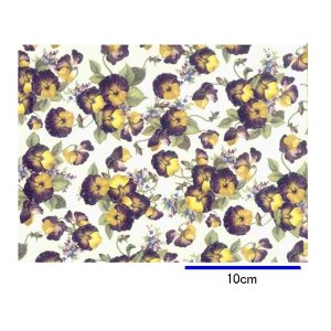 画像: PANSIES SMALL  (Ａ４)