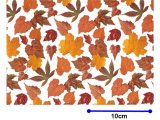 画像: AUTUMN LEAF CHINTZ　（Ｌ）