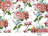 画像: CHRYSANTHEMUM CHINTZ（Ｌ）