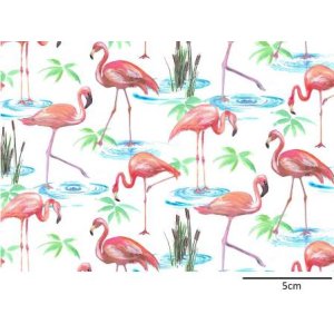 画像: FLAMINGO CHINTZ (L)