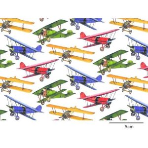 画像: BI-PLANES CHINTZ (L)