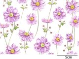 画像: JAPANESE ANEMONE CLEAR（Ｌ）