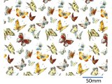 画像: BUTTERFLY CHINTZ　（Ｌ）