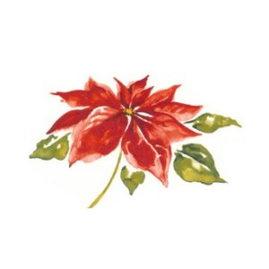 画像: POINSETTIA