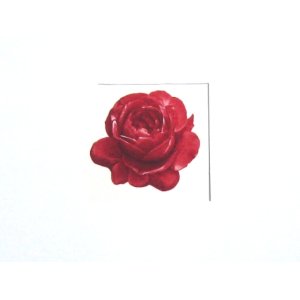 画像: RED ROSE