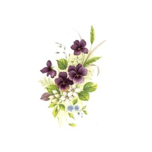 画像: VIOLETS