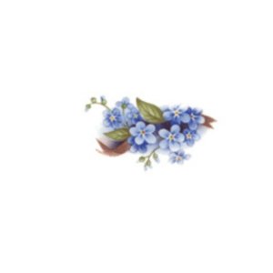 画像: BLUE　FORGET-ME-NOT