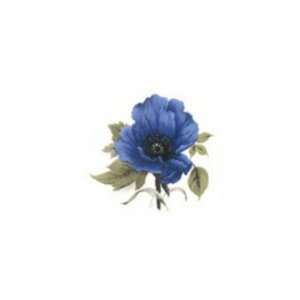 画像: BLUE POPPY