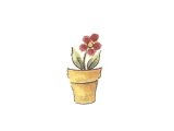 画像: PLANT POT