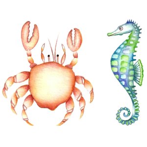 画像: CRAB and SEAHORSE