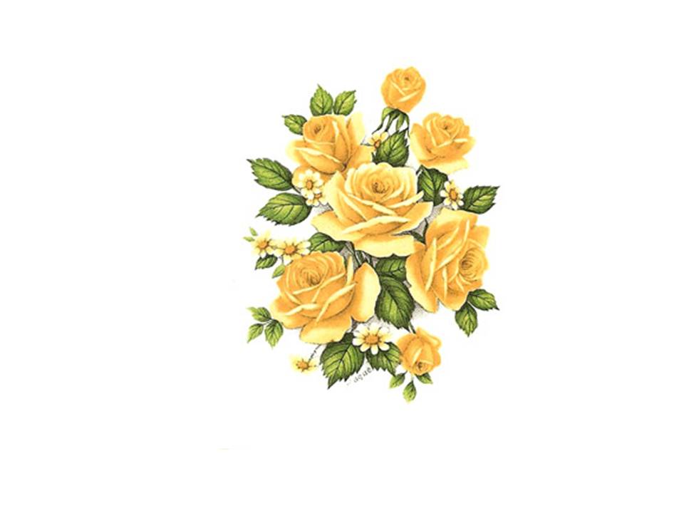 画像1: YELLOW ROSES