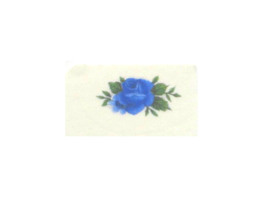 画像1: BLUE ROSES