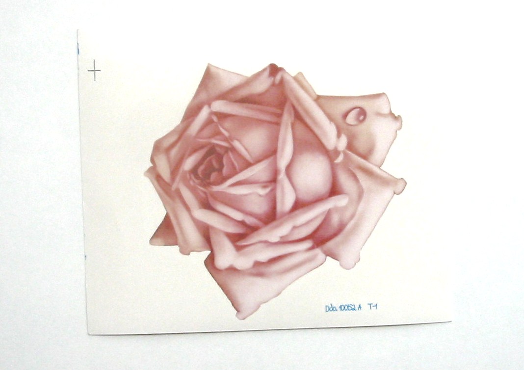 画像1: PINK ROSE