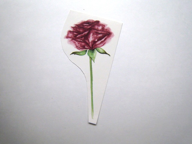 画像1: PINK ROSE