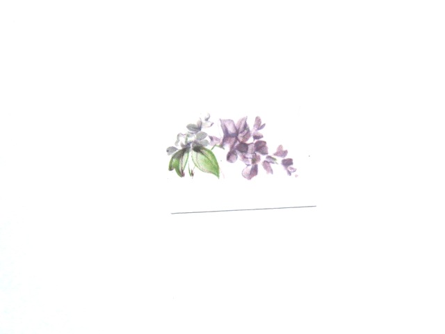 画像1: LILAC MIST