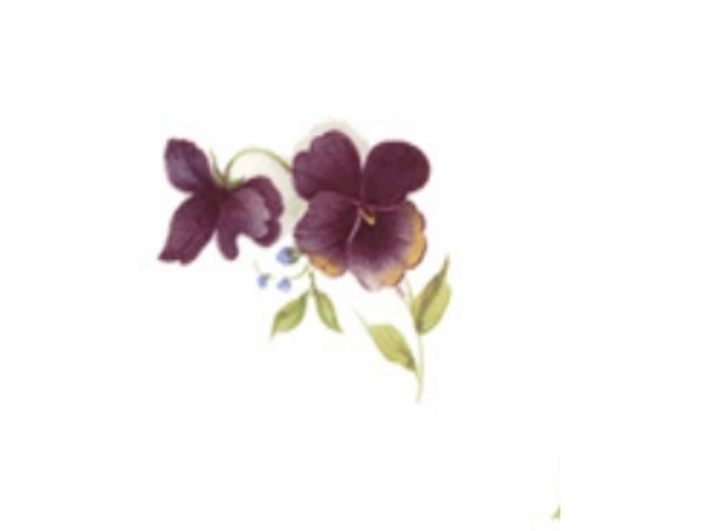 画像1: VIOLETS