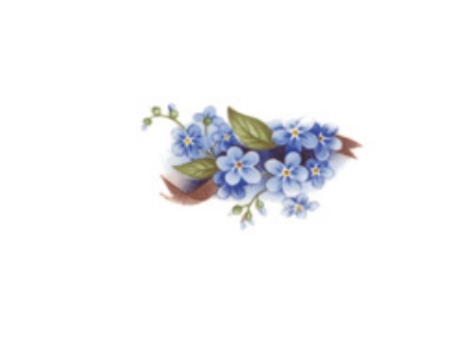 画像1: BLUE　FORGET-ME-NOT