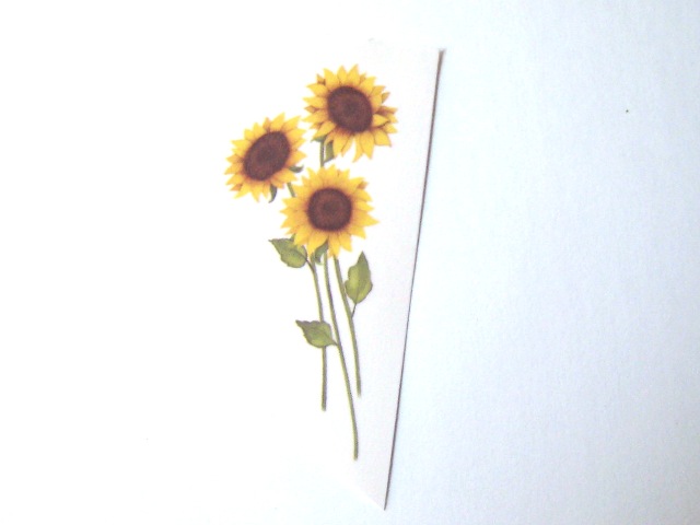 画像1: GIRASOLES